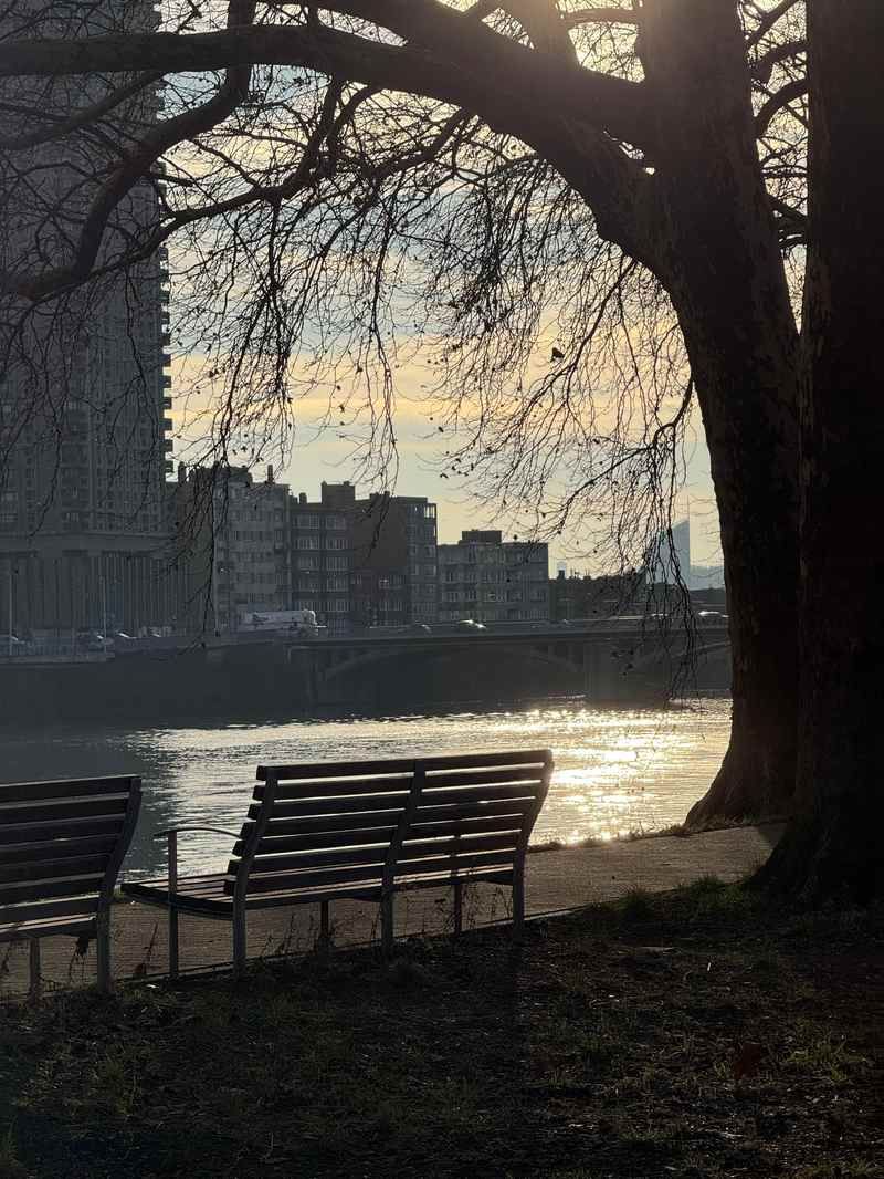parc Astrid vue sur Meuse