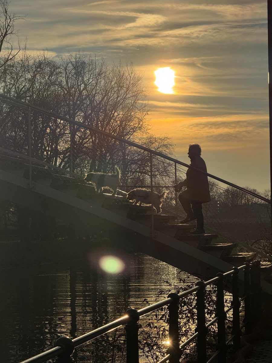vue au coucher de soleil projet d'écoquartier