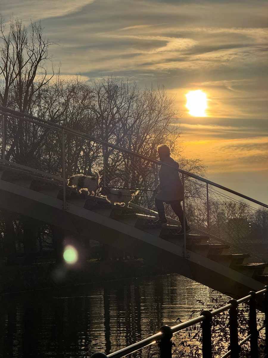 Rives Ardentes au coucher de soleil, un projet immobilier situé à Liège