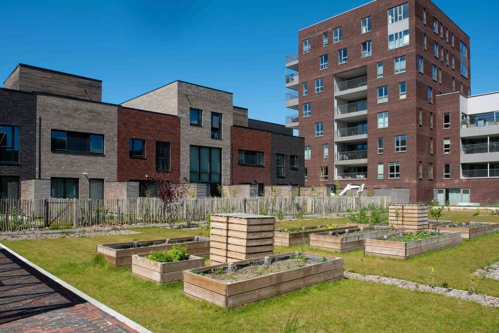écoquartier durable à Coronmeuse vue sur le jardin partagé
