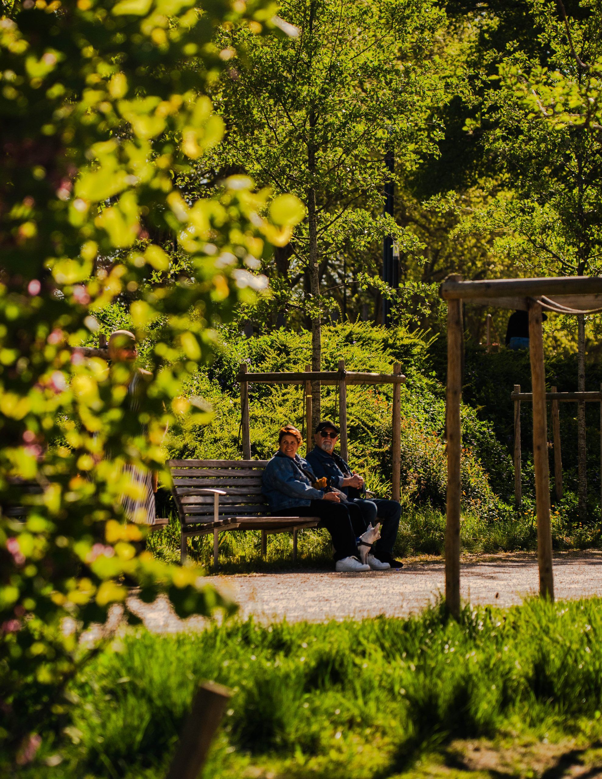 Le Parc Astrid en plein coeur de l'écoquartier de Coronmeuse