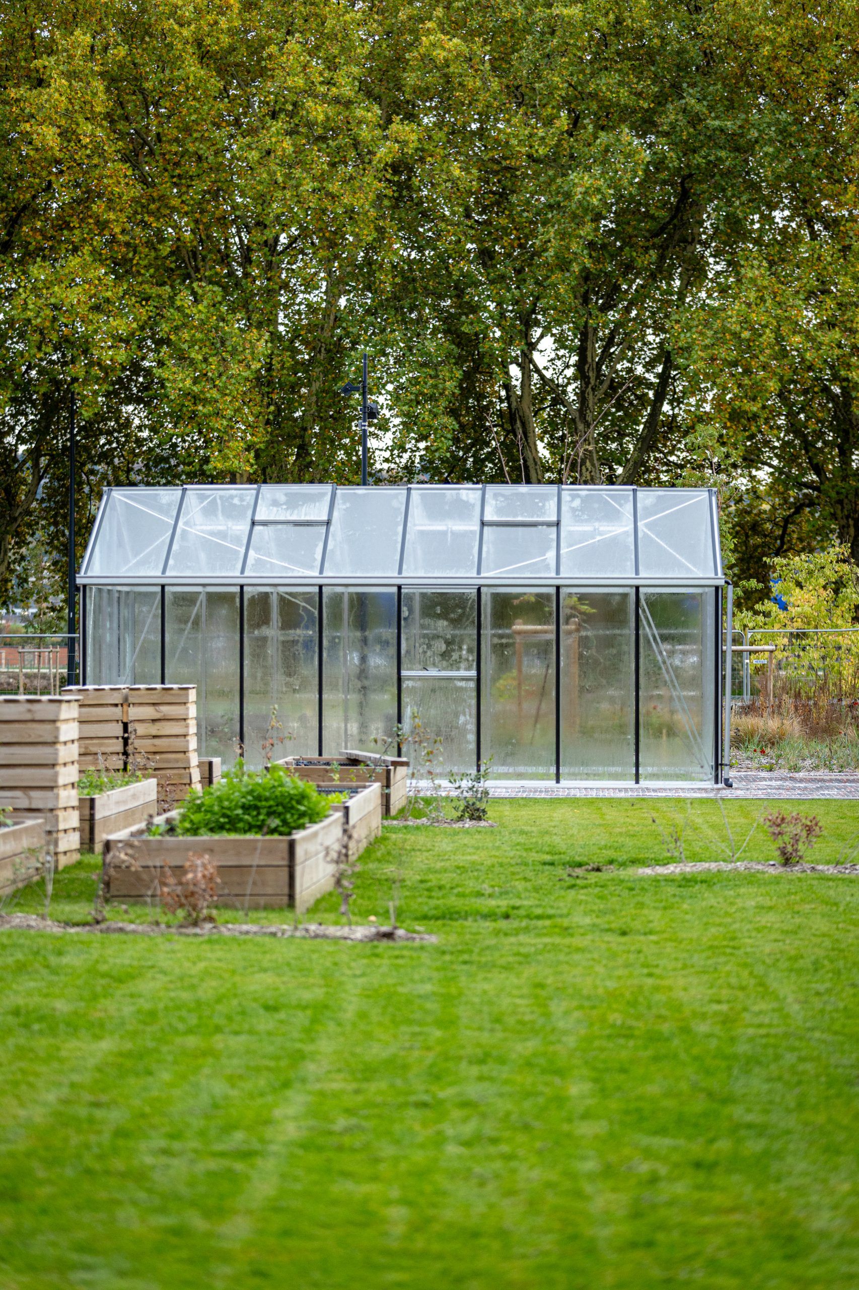Un potager et une serre partagés
