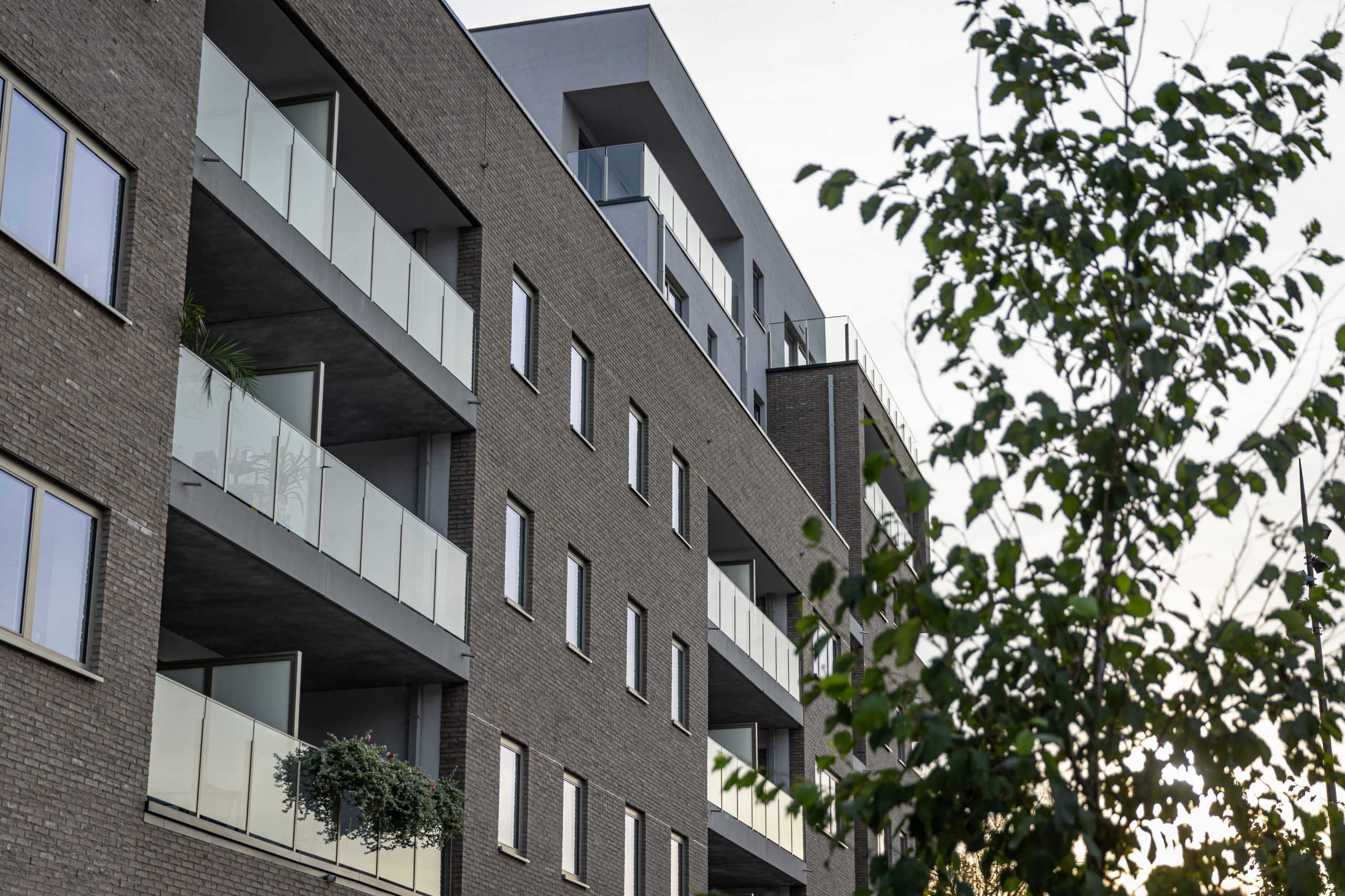 Appartements du QUAI